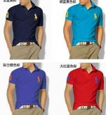 Camiseta Polo