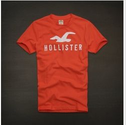 Hollister Maculina