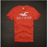 Hollister Maculina