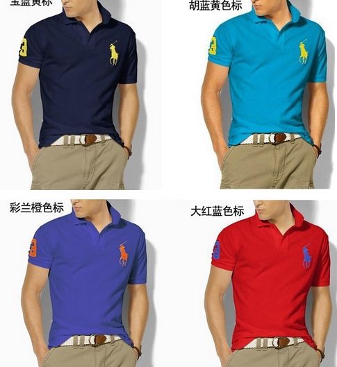 Camiseta Polo